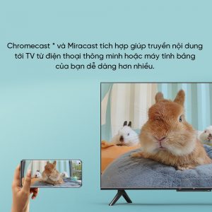 Smart Tivi Xiaomi P1 43 Inch