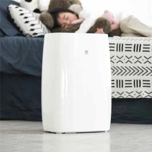 Máy Hút Ẩm Xiaomi WIDETECH 18L