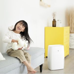Máy Hút Ẩm Xiaomi WIDETECH 18L